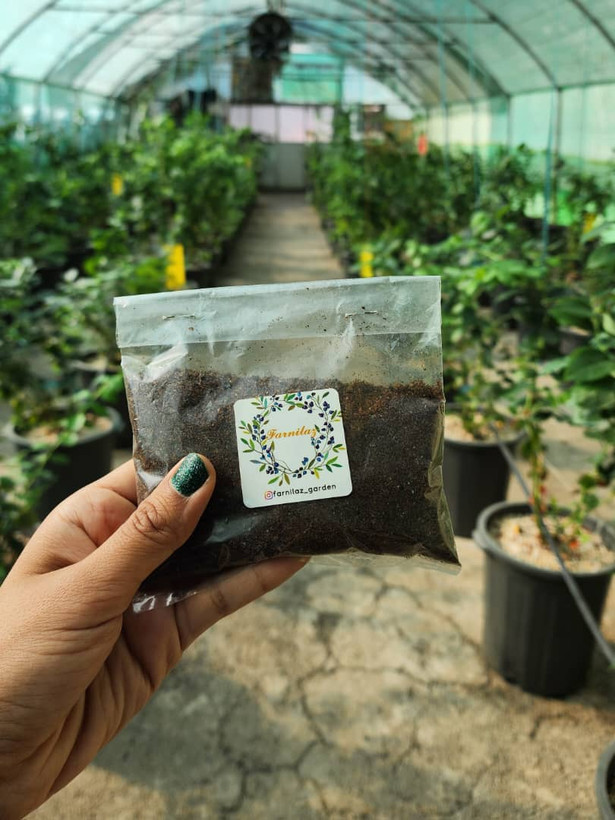 کود رشد گلخانه فرنیلاز