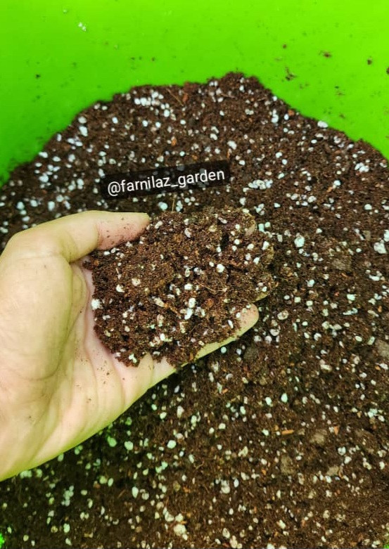 خاک مخصوص گلخانه فرنیلاز