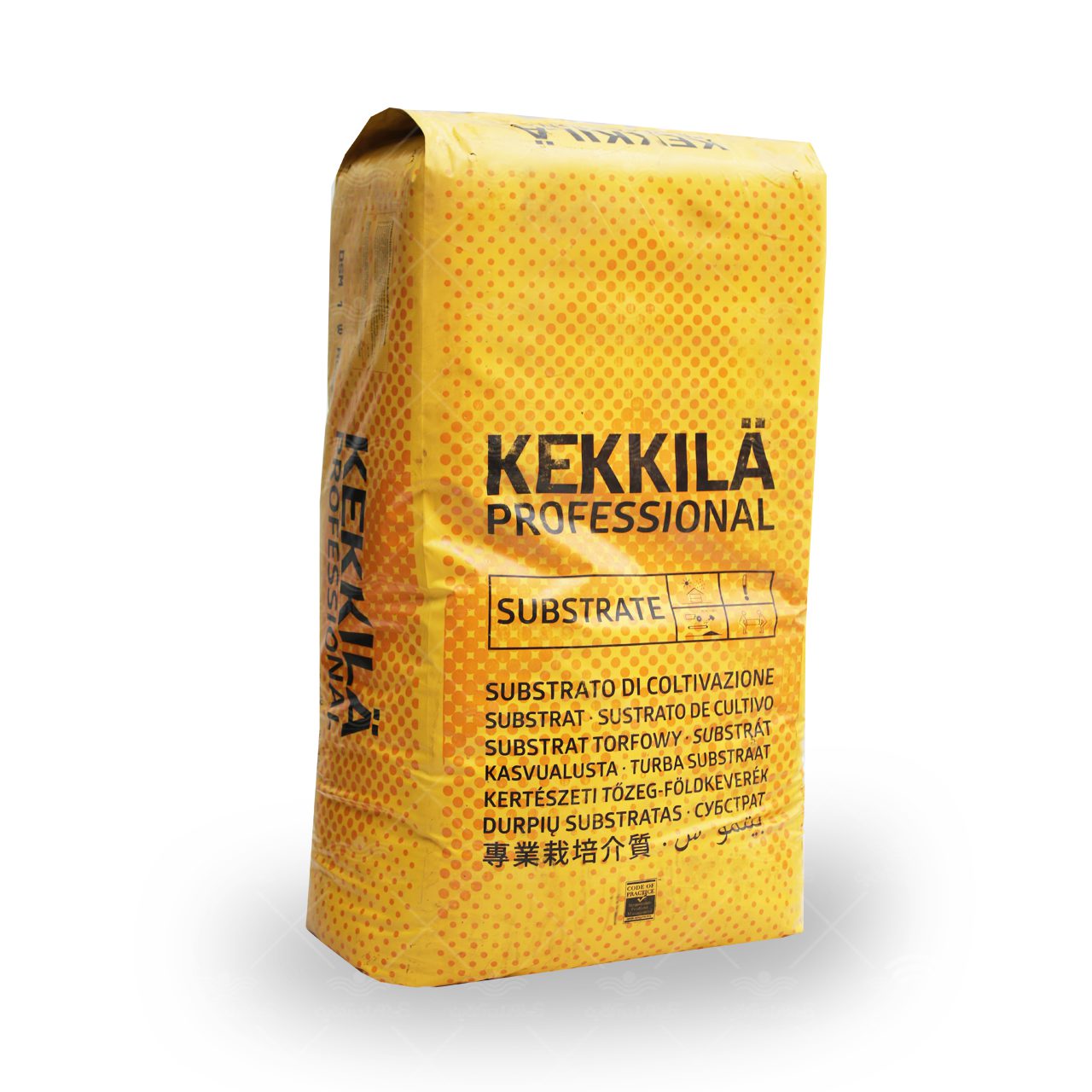 پیت ماس ککیلا