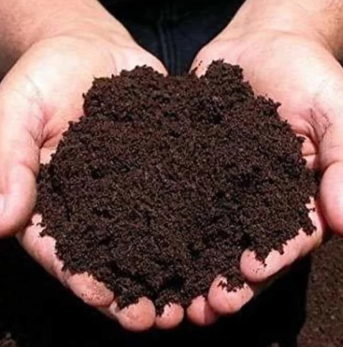 ورمی کمپوست